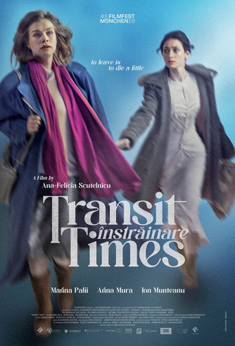 Movie poster for Transit Times (2026)