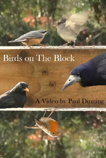 Movie poster for Birds on The Block (2023)