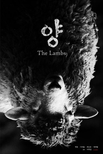Movie poster for The Lambs (2019)