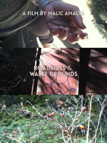 Movie poster for Roadsides and Waste Grounds (2012)