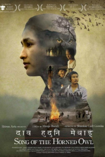Movie poster for Dau Huduni Methai (2015)