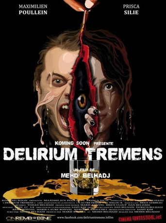 Movie poster for Delirium Tremens (2013)