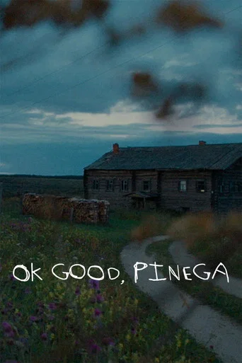 Movie poster for Ok good, Pinega (2021)