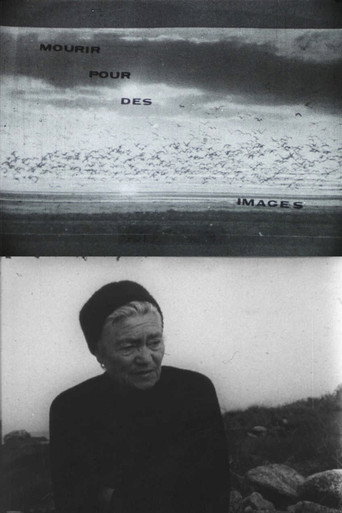 Movie poster for Mourir pour des images (1971)