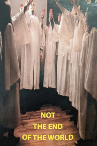 Movie poster for Not the End of the World (2013)