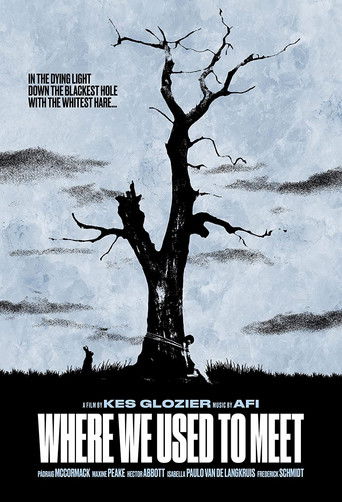 Where We Used to Meet poster
