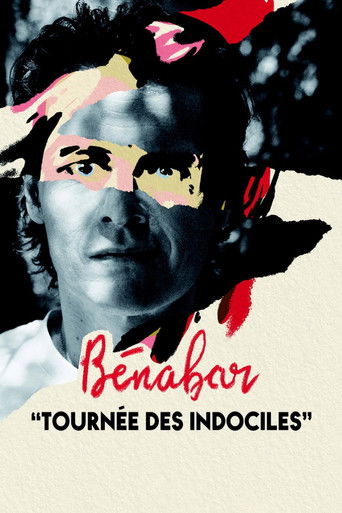 Bénabar - Tournée des indociles poster