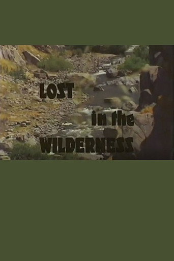 Movie poster for Lost In The Wilderness