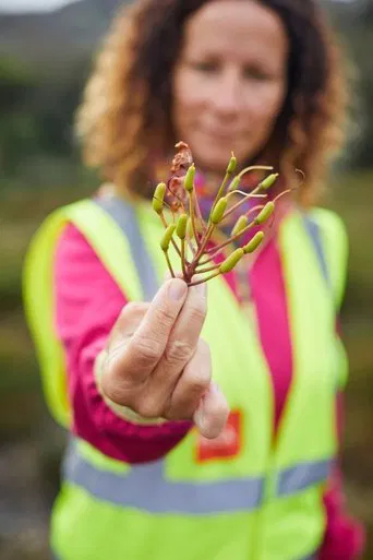 Hatchets & Hope - The Killarney Mountain Meitheal poster