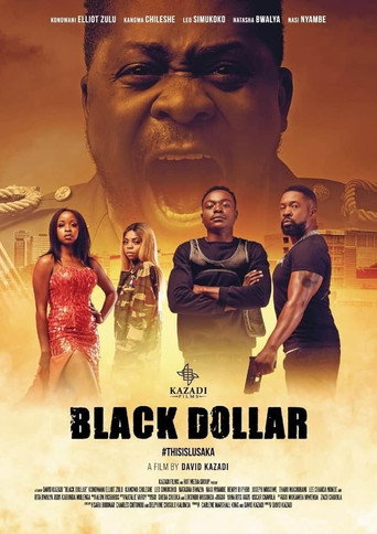 Movie poster for Black Dollar (2020)