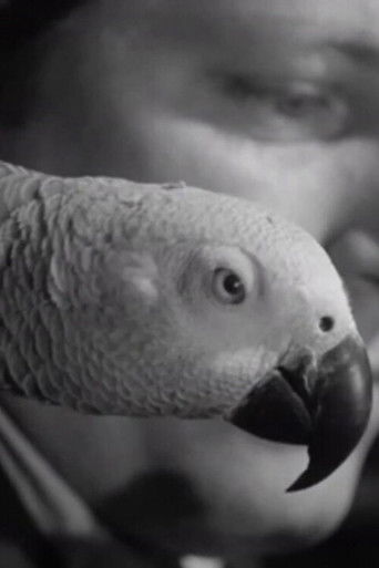 A Journal of the Outdoors No. 11 poster