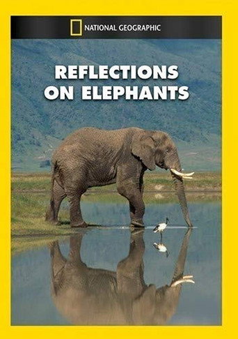 Reflections on Elephants poster