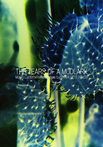 Movie poster for The Tears of a Mudlark (2018)