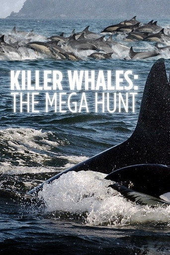 Movie poster for Killer Whales: the Mega Hunt (2016)