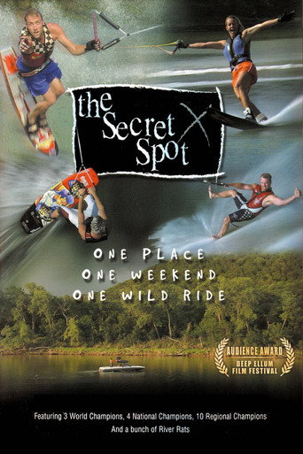 Movie poster for The Secret Spot (2004)