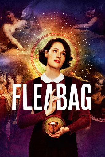 Series poster for Fleabag (2016)