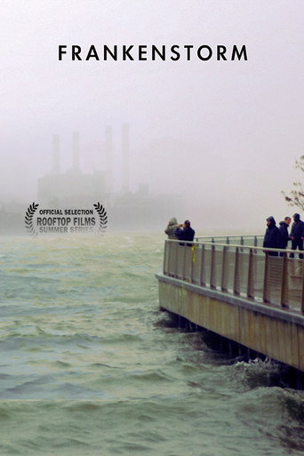 Movie poster for FRANKENSTORM: From Across the East River