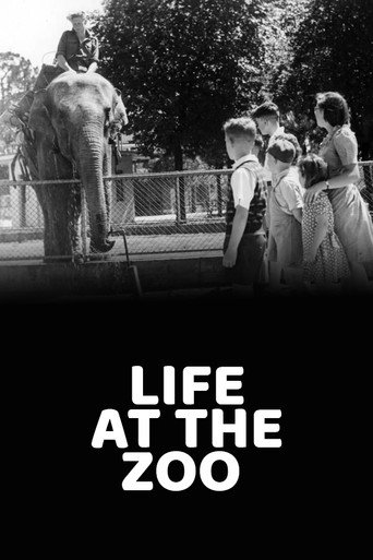 Movie poster for Life at the Zoo (1946)