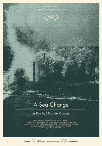 Movie poster for A Sea Change (2016)