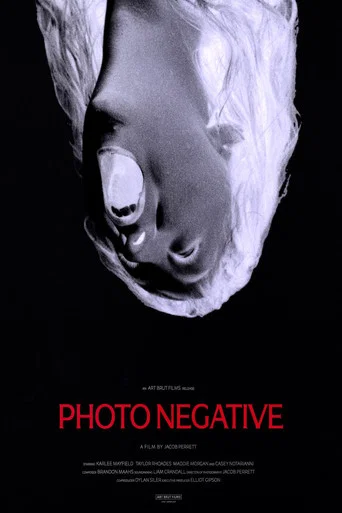 Movie poster for Photo Negative (2026)