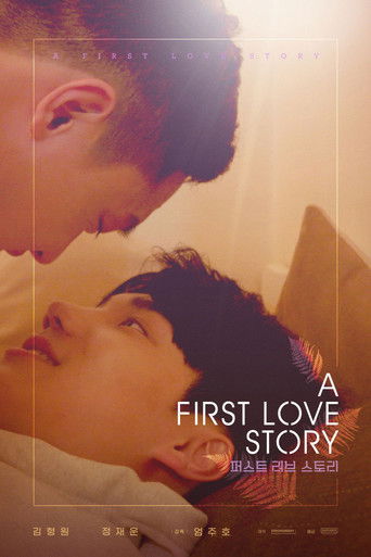 A First Love Story poster