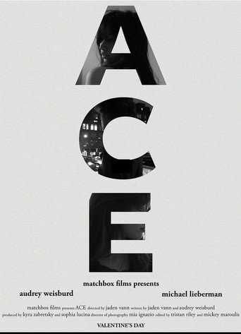 Movie poster for ACE (2024)
