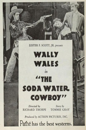 Movie poster for The Soda Water Cowboy (1927)