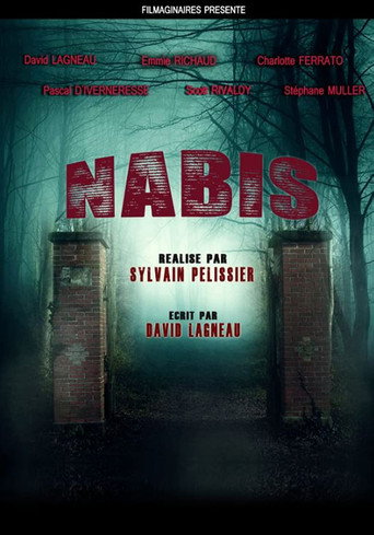 Movie poster for Nabis (2018)