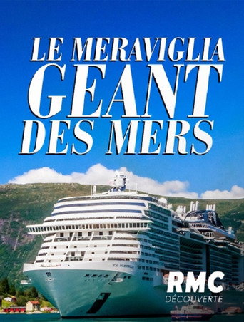 Le Meraviglia : Géant des mers poster