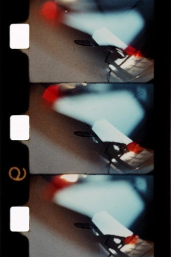 Movie poster for La vie brève de la flamme (1982)