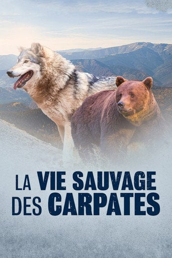 Movie poster for La Vie sauvage des Carpates (2020)