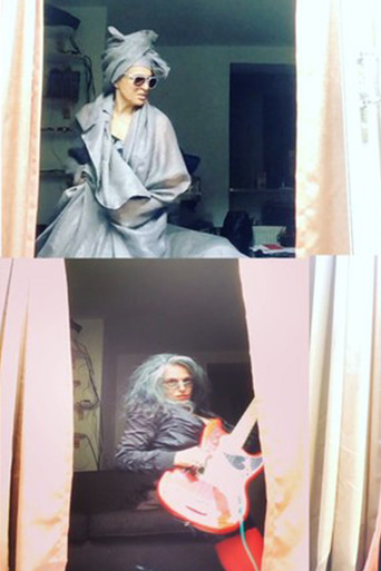 Movie poster for The Window Appearances (2020)