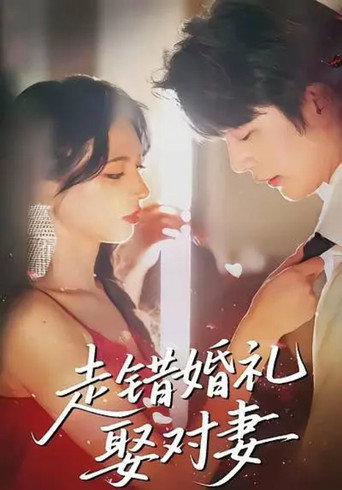 Series poster for 走错婚礼娶对妻 (2025)