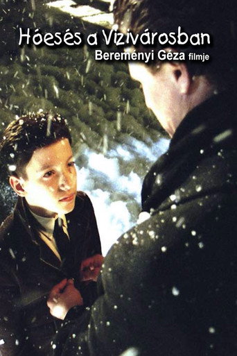 Movie poster for Hóesés a Vizivárosban (2004)