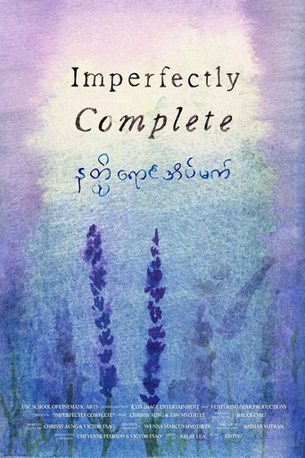 Movie poster for Imperfectly Complete (2021)