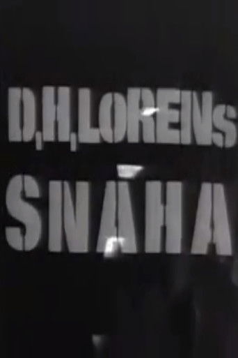 The Daughter-in-Law poster