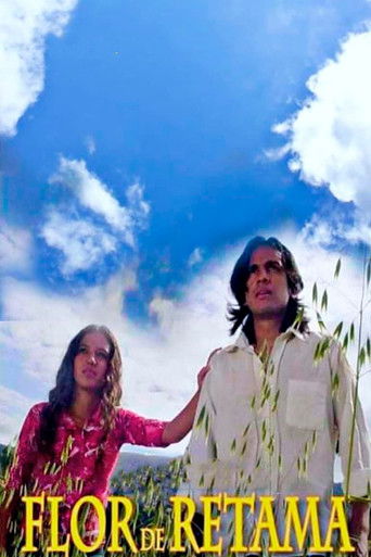 Flor de Retama poster