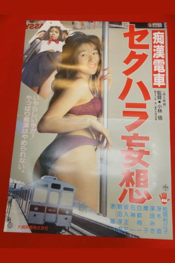 Groper Train: Sexual Harassment Fantasy poster