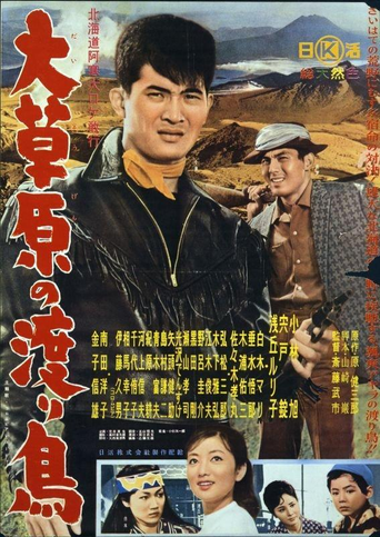 Movie poster for The Rambler Rides Again (1960)