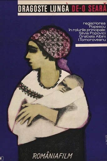 Movie poster for A Night Long Love (1963)