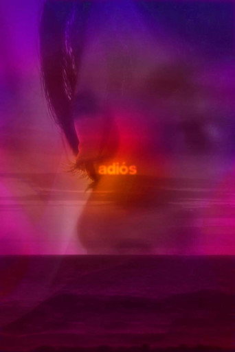 Movie poster for adiós (2022)
