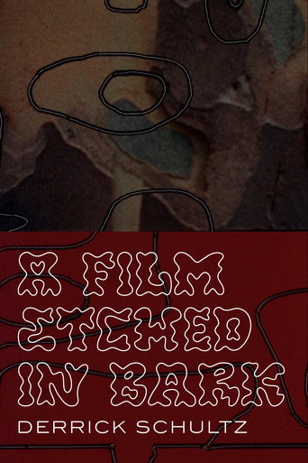 Movie poster for A Film Etched in Bark (2024)