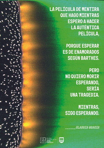 Movie poster for LA PELÍCULA DE MENTIRA (2024)