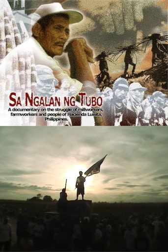 Movie poster for In the Name of the Sugarcane (2005)