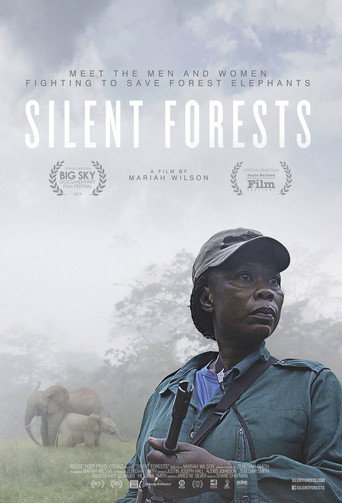 Movie poster for Silent Forests (2019)