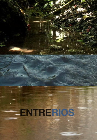 Movie poster for Entre Rios (2009)