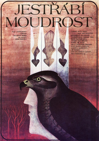 Jestřábí moudrost poster