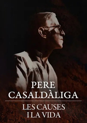 Movie poster for Pere Casaldàliga. Les causes i la vida (2013)