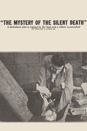 Movie poster for The Mystery of the Silent Death (1915)