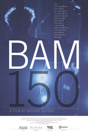 BAM150 poster